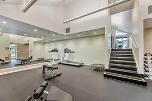 535 Pierce St, Albany, CA 94706 - Photo 51