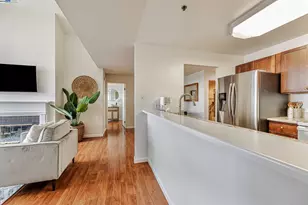 535 Pierce St, Albany, CA 94706 - Photo 19