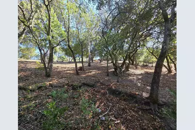 12 Vista Del Orinda, Orinda, CA 94563 - Photo 19