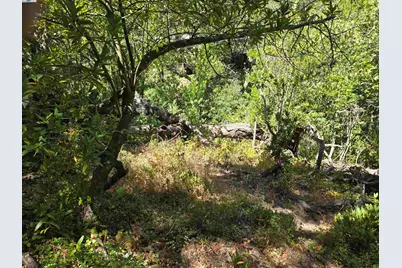 12 Vista Del Orinda, Orinda, CA 94563 - Photo 9