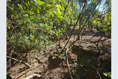 12 Vista Del Orinda, Orinda, CA 94563 - Photo 13