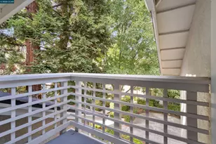 2578 Oak Rd, Walnut Creek, CA 94597 - Photo 19