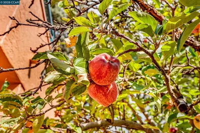 196 Nantucket Lane, Vallejo, CA 94590 - Photo 25