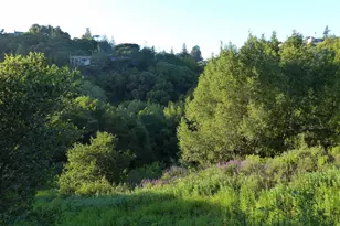 11275 Kerrigan Dr, Oakland, CA 94605 - Photo 7