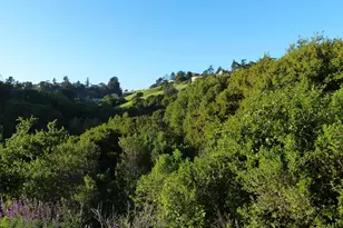 11275 Kerrigan Dr, Oakland, CA 94605 - Photo 9