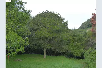 11275 Kerrigan Dr, Oakland, CA 94605 - Photo 5