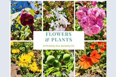 2110 Ashby Ave, Berkeley, CA 94705 - Photo 39