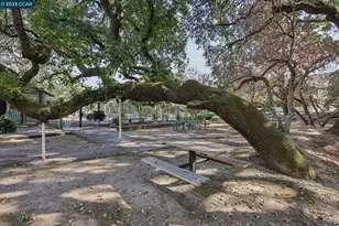 600 Suntree Ln, Pleasant Hill, CA 94523 - Photo 39