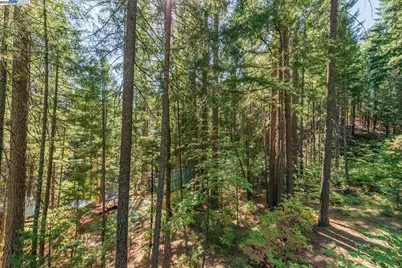 761 Lake Forest Dr., Trinity Center, CA 96091 - Photo 31