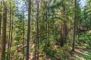 761 Lake Forest Dr, Trinity Center, CA 96091 - Photo 31