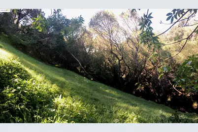 4145 Oak Hill Rd, Oakland, CA 94605 - Photo 9