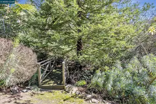 4 Berrybrook Hollow, Orinda, CA 94563 - Photo 37