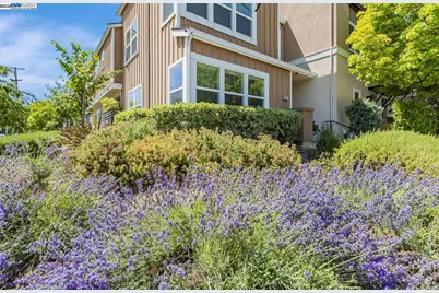 705 Cannery Pl, San Jose, CA 95112 - Photo 25