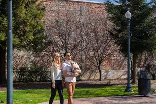 28942 Parkridge Loop, Hayward, CA 94544 - Photo 33