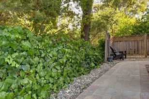 891 Bell St, Lafayette, CA 94549 - Photo 9