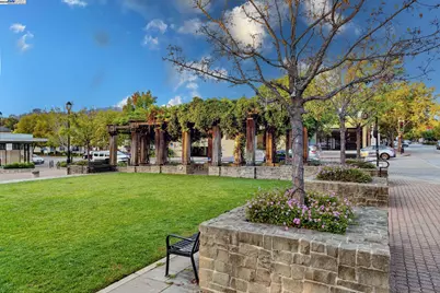 922 Brown Ave, Lafayette, CA 94549 - Photo 43