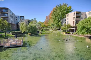 320 Civic Dr, Walnut Creek, CA 94596 - Photo 37