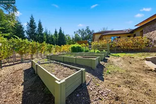 8 Quiet Country Ln, Danville, CA 94526 - Photo 59