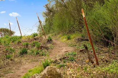 20 Oak Ct, Orinda, CA 94563 - Photo 43