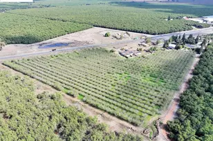 8190 French Camp Dr, Manteca, CA 95336 - Photo 7