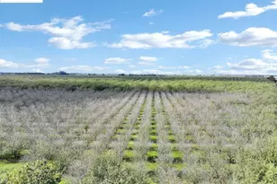 8190 French Camp Dr, Manteca, CA 95336 - Photo 23