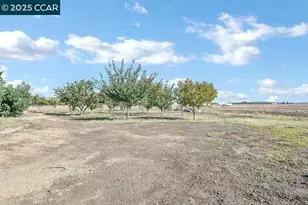 2280 Concord Ave, Brentwood, CA 94513 - Photo 51