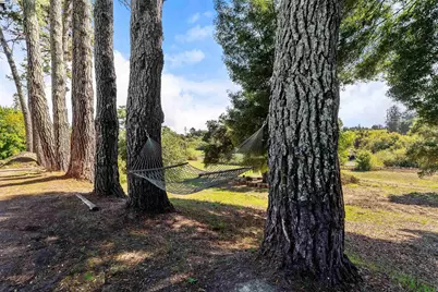 2103 Peachland Ave, Sebastopol, CA 95472 - Photo 29