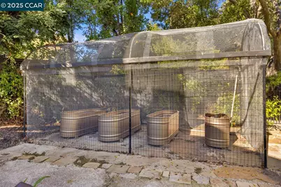 104 Muir Ln, Alamo, CA 94507 - Photo 51