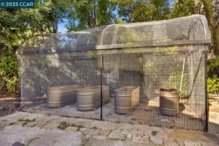 104 Muir Ln, Alamo, CA 94507 - Photo 51