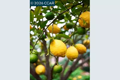 362 Summit Ct, Pinole, CA 94564 - Photo 47