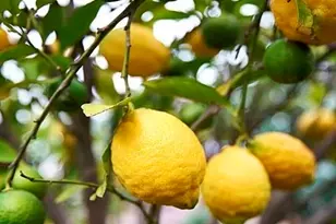 362 Summit Ct, Pinole, CA 94564 - Photo 47