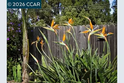 362 Summit Ct, Pinole, CA 94564 - Photo 45