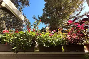 2561 Yerba Bank Ct, San Jose, CA 95121 - Photo 31