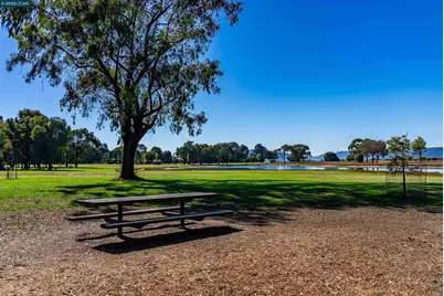 206 Cottage Ave, Richmond, CA 94803 - Photo 39