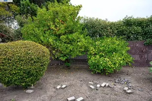 25512 Tarman Ave, Hayward, CA 94544 - Photo 13