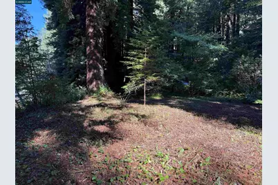 1445 Austin Creek Rd, Cazadero, CA 95421 - Photo 3