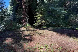 1445 Austin Creek Rd, Cazadero, CA 95421 - Photo 3