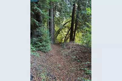 1445 Austin Creek Rd, Cazadero, CA 95421 - Photo 33
