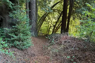 1445 Austin Creek Rd, Cazadero, CA 95421 - Photo 33