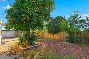 10311 Ryan St, San Jose, CA 95127 - Photo 29