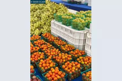 2933 Ptarmigan Dr #3, Walnut Creek, CA 94595 - Photo 47