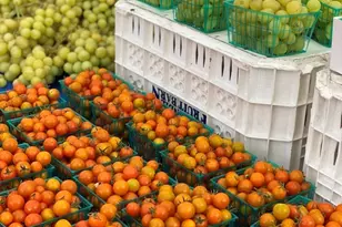 2933 Ptarmigan Dr, Walnut Creek, CA 94595 - Photo 47