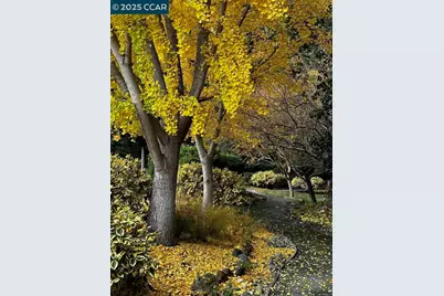 2933 Ptarmigan Dr #3, Walnut Creek, CA 94595 - Photo 43