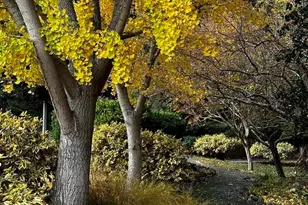 2933 Ptarmigan Dr, Walnut Creek, CA 94595 - Photo 43