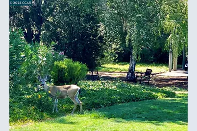 2933 Ptarmigan Dr #3, Walnut Creek, CA 94595 - Photo 37