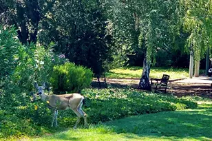 2933 Ptarmigan Dr, Walnut Creek, CA 94595 - Photo 37