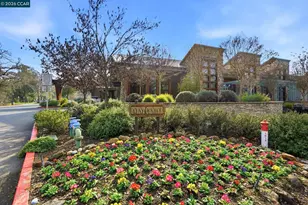 2425 Pine Knoll Dr, Walnut Creek, CA 94595 - Photo 53