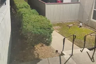 1333 Camino Alto, Vallejo, CA 94589 - Photo 17