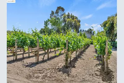 17035 Terminous Rd, Isleton, CA 95641 - Photo 3