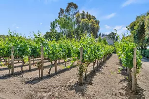 17035 Terminous Rd, Isleton, CA 95641 - Photo 3